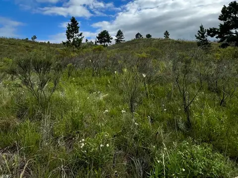 Campo en Venta de 4  ha