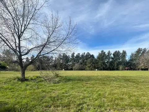 Venta terreno en capilla del señor