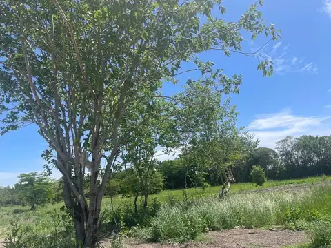 Terreno en Venta en City Bell, USD 62.000