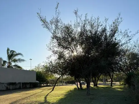 ¡Venta! ¡Lote en San Alfonso del Talar! ¡Con Escritura!