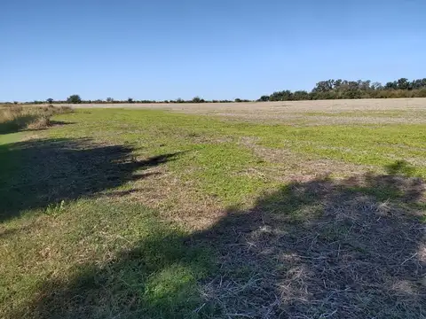 camino pavimentado a Portela