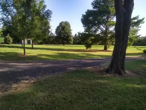 Campo en Venta Agrícola
