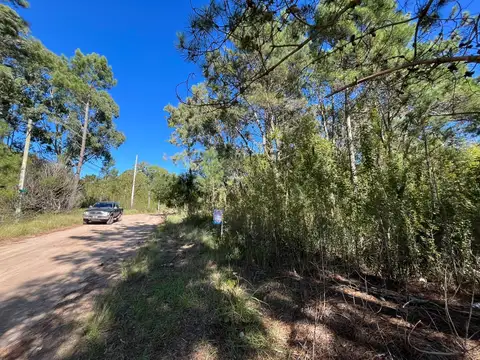 Terreno en Venta 15  mts Frente