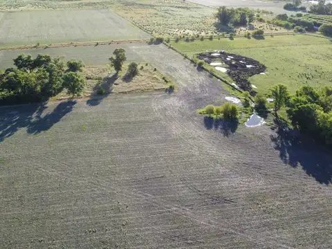 20 ha agricolas en Roque Pérez