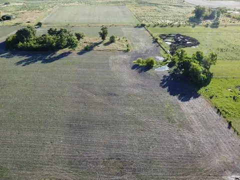 20 ha. agrícolas en Roque Pérez