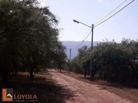 Terreno en Venta de 1003,0 m2