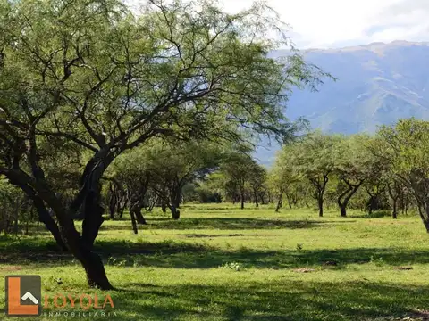 Publica ( Loteo Las Azucenas)