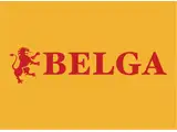 Belga Inmobiliaria SA