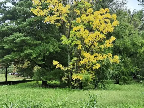 Terreno en Venta en Santa Rosa De Calamuchita, USD 75.000