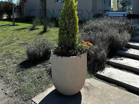 Arturo Capdevilla , Piso 0