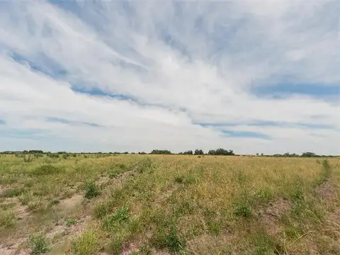 Chacra de 12 Ha en Rincón de Albano. Coneat 188