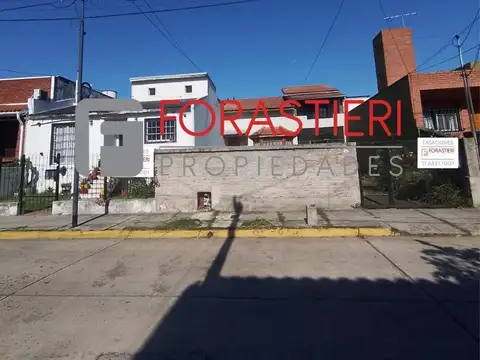 Martin Pescador  1300