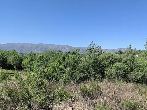 Terreno en Venta de 1017,0 m2