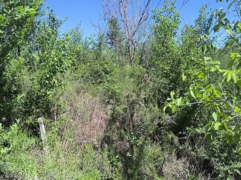 Terreno en Venta de 1017,0 m2