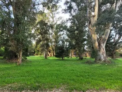 Terreno en Venta de 1100,0 m2