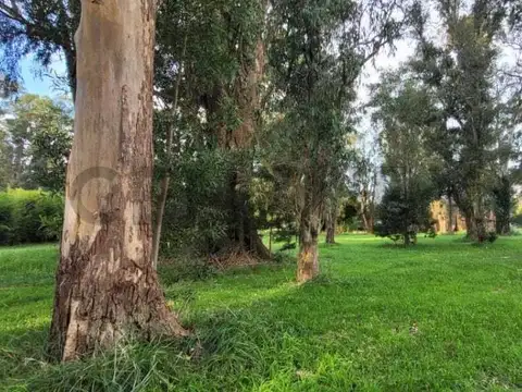 Terreno en Venta 55  mts Fondo