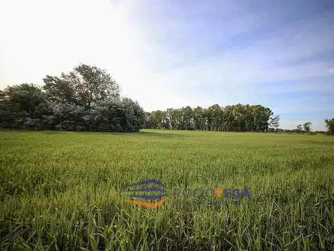 Terreno en Venta 55  mts Frente