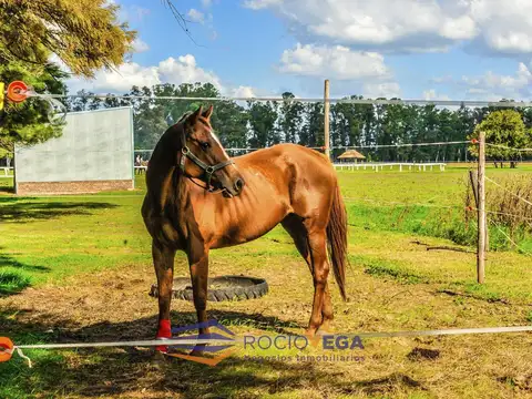 Lote en venta en Chacras de San Andres