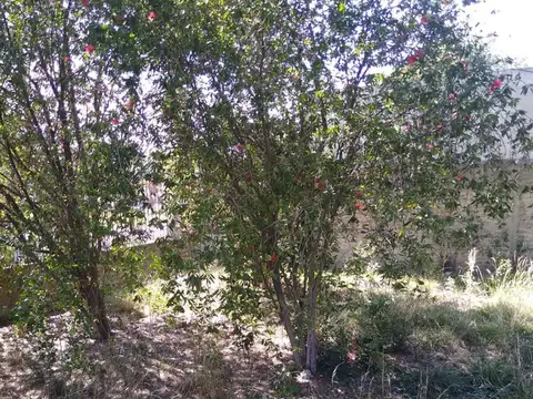 TERRENO EN VENTA MONTE GRANDE