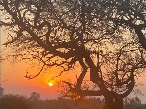 Terreno en Venta de 3000,0 m2