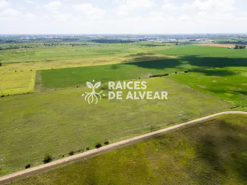 Terreno en barrio cerrado , raices de alvear
