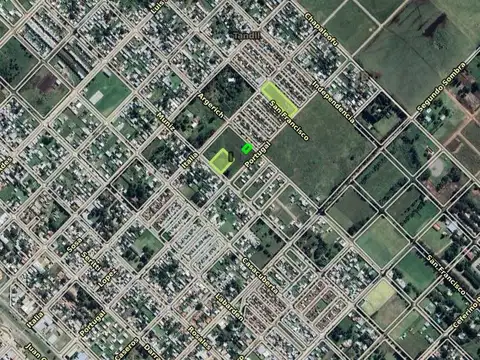 Argerich e/ Italia y Portugal