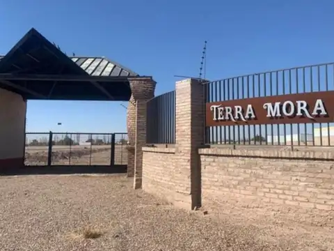 Terreno en Venta en Rodeo De La Cruz, USD 10.500