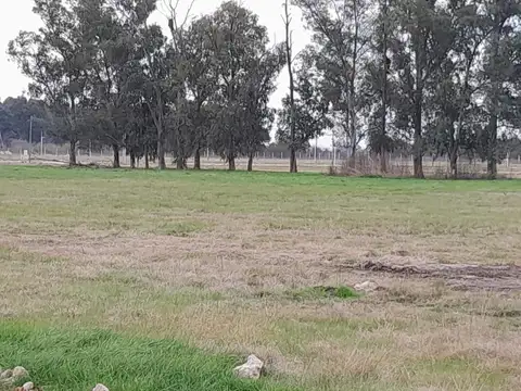 Terreno en Venta en San Vicente, USD 13.900