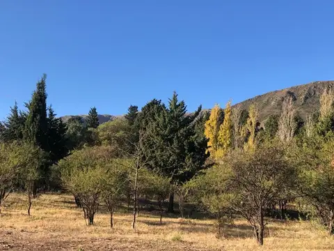 Terreno en Venta de 954,0 m2