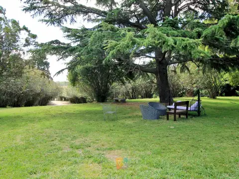 Camino Sanguinetti 5500