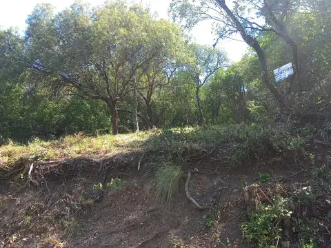 Terreno en Venta 37  mts Fondo