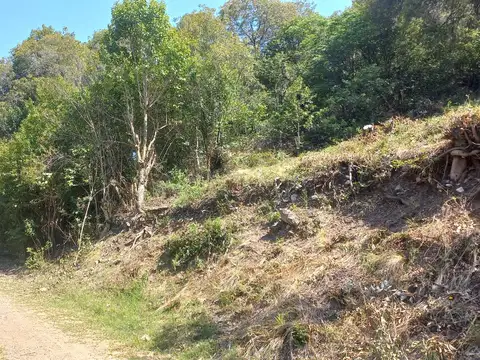 Terreno en Venta 15  mts Frente