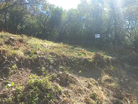 Terreno en Venta de 581,0 m2