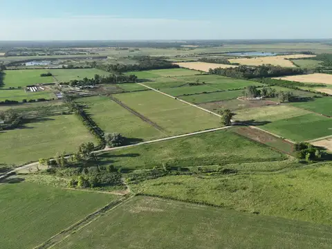 Campo en Venta de 571  ha