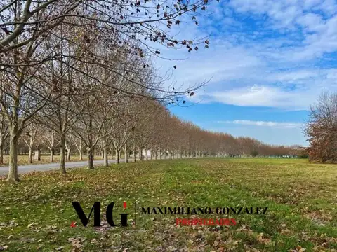 Terreno en Venta de 2354,0 m2