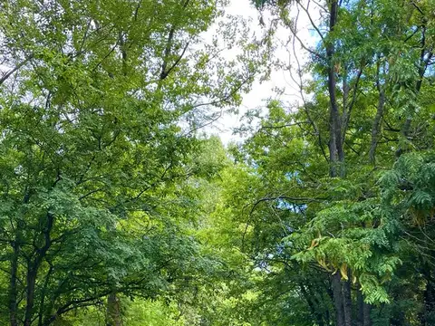 Terreno en Venta 46,25  mts Fondo