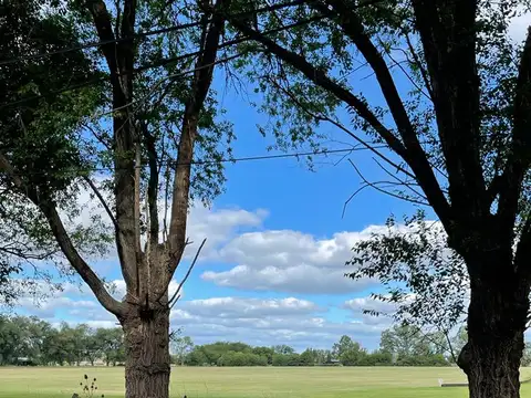 Terreno en Venta de 1900,0 m2