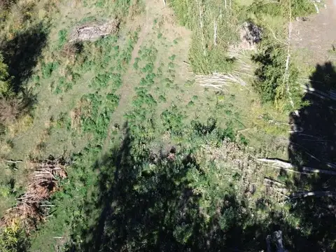 Terreno en Venta de 800,0 m2