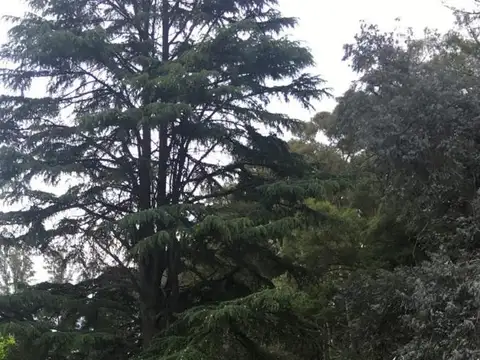 Chacras de San Andrés