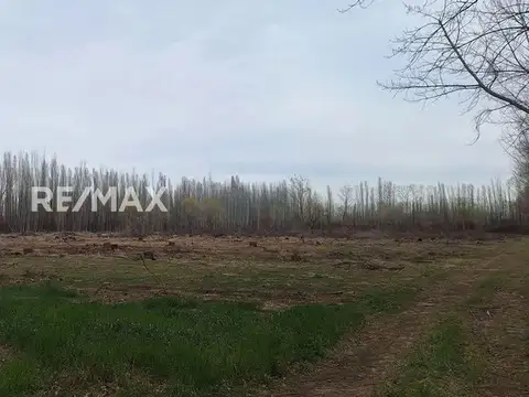 Pre venta loteo Cardales de 510m2, Cipolletti