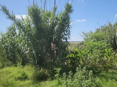 Terreno en Alquiler de 120000,0 m2