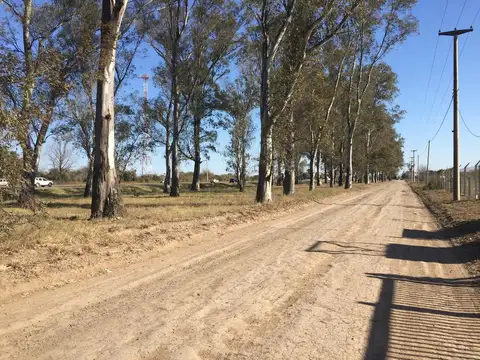 Depósito-Predio - Malvinas Argentinas, Ruta 19, Córdoba