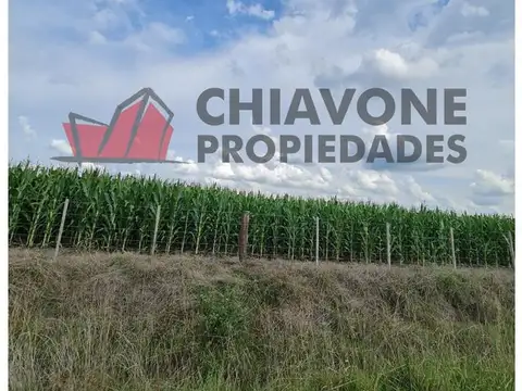 178 ha agrícolas, Cuartel III - Gral Las Heras. L30004