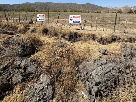 TERRENO EN VENTA RUTA PROVINCIAL 52, USPALLATA.