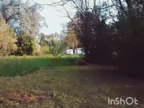 Av de las Americas 1000