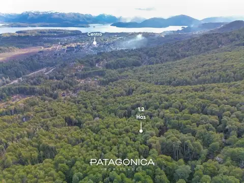 Terreno en Venta de 12000,0 m2