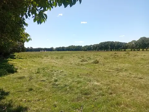 calle 64   zarate 400