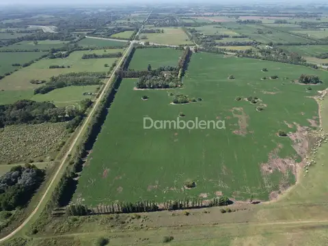 Ruta Nacional N° 7 100