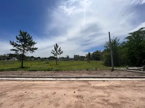 Entre calles Rauch y Paraguay