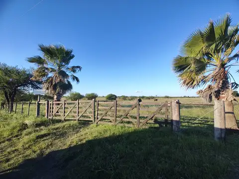 100 has campo ganadero agríc.